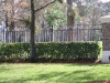 thumbs dsci0111 Fencing