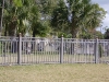 thumbs dsci0126 Fencing