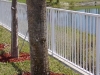 thumbs dsci0136 Fencing